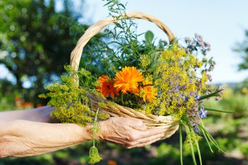 hand holding a basket of flowers