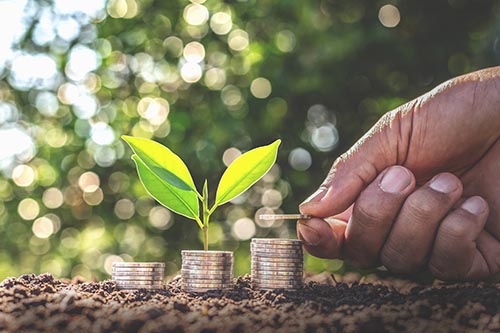 Hand giving a coin to a tree growing from pile In coin Money. Fi Hand giving a coin to a tree growing from pile In coin Money. Fi