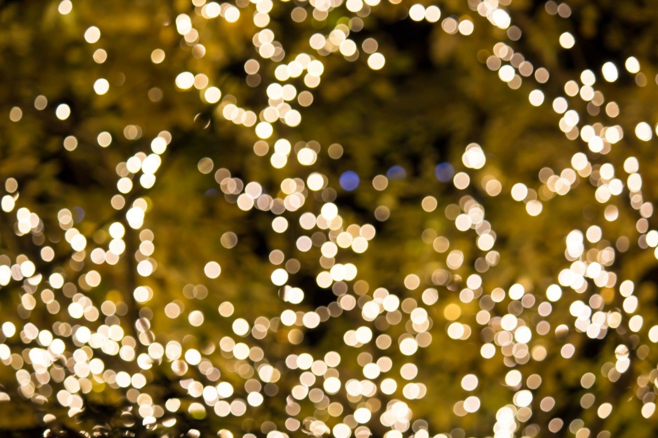 Lights Lights